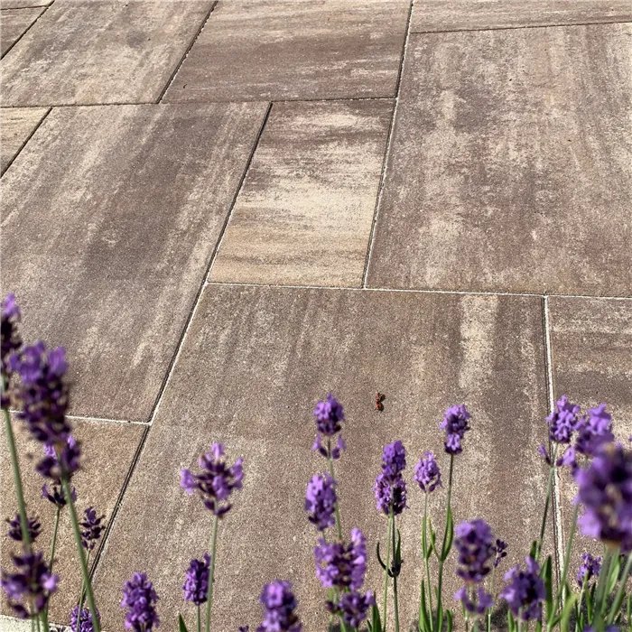 SEMMELROCK CITYTOP Grande kombi / dlažba s mikro zkosenou hranou, výška 6 cm - hnědý mix