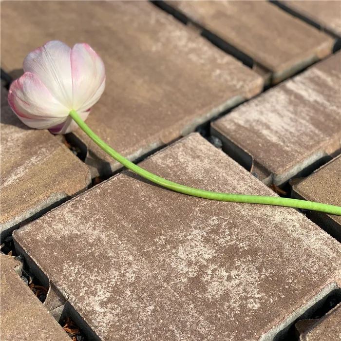 SEMMELROCK CITYTOP Eko Kombi / dlažba se zkosenou hranou, výška 6 cm - hnědý mix