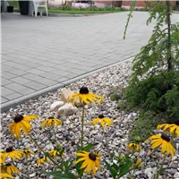 SEMMELROCK CITYTOP Obdélník / dlažba se zkosenou hranou 20x10x8 cm - šedá