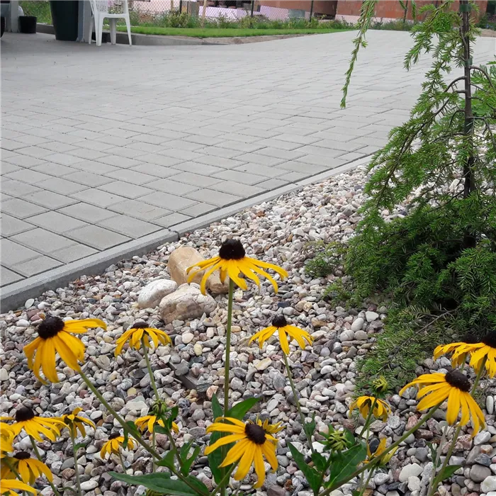 SEMMELROCK CITYTOP Obdélník (hladká) / dlažba bez zkosené hrany 20x10x8 cm - šedá