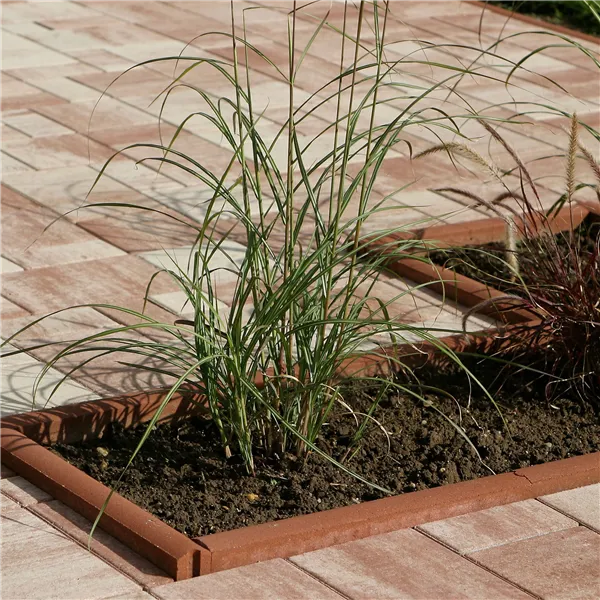 SEMMELROCK ZAHRADNÍ OBRUBNÍK / 100x5x20 cm, horní plocha oblá - červená