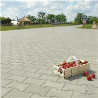 SEMMELROCK ÍČKO 6 / dlažba bez zkosené hrany hladká (skladba) 20x16,5x6 cm - šedá