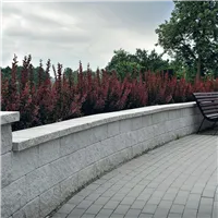 SEMMELROCK NARDO / dlažba se zkosenou hranou 20x10x4 cm - šedá