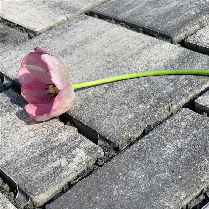 SEMMELROCK CITYTOP Eko Kombi protect / dlažba se zkosenou hranou, výška 6 cm - bíločerná