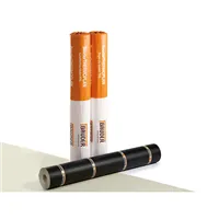 BAUDER / THERMOPLAN T15 (0,5 × 10 m = 5 m²) - perleťově bílá