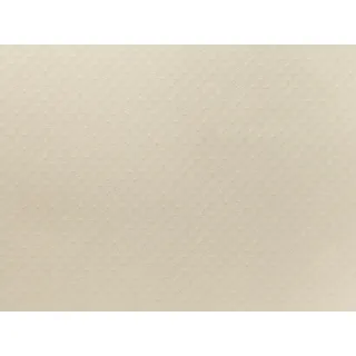 BAUDER / FPO / THERMOPLAN TL18 (1,5 × 10 = 15 m²) - perleťově bílá