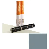 BAUDER / THERMOPLAN T20 (1,5 × 20 m = 30 m²) - stříbřitě šedá