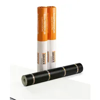 BAUDER / FPO / THERMOPLAN T20 (1,5 × 20 m = 30 m²) - sněhově bílá