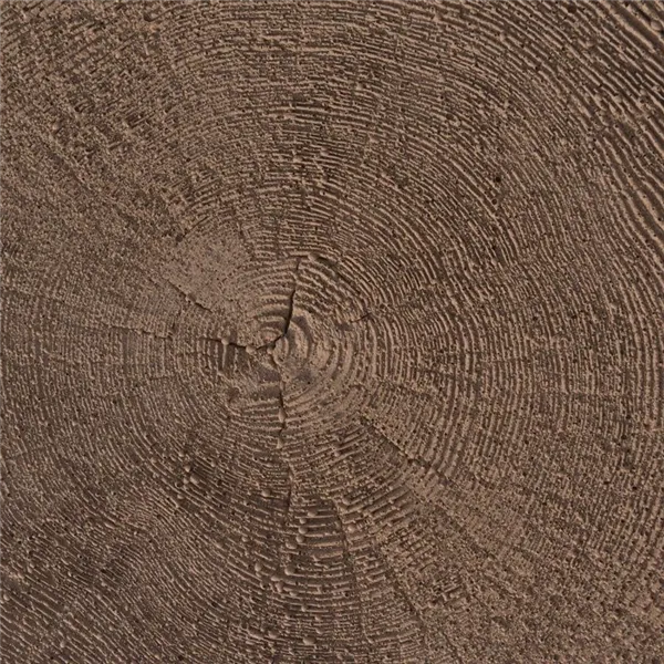 SEMMELROCK BRADSTONE / nášlapný kámen kmen 35x30x4 cm, struktura dřeva - antická hnědá